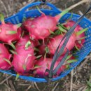 백용농장 이미지