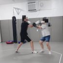 태껸청계관
