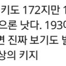 오늘 카톡 오타니쇼헤이 키 193이라는 글 댓글이 넘 웃겨서 캡쳐함ㅋㅋㅋ 172의 자신감 이미지