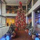 꿀밤스테이 | 춘천베이커리카페 올데이스테이, 애견 동반 가능한 대형카페 추천