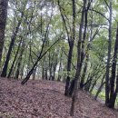 고운주유소 이미지