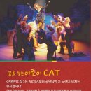 어린이 CAT Daum카페