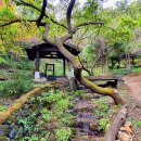 하안3호약수터 이미지