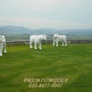 포항골프장(대중18홀) 이미지