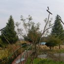 정코스2공장 이미지