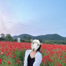(주)무유산업 | 의외로 인기만점 울산 언양 가볼만한 곳 3 맛집포함