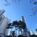 진잠올레공인중개사사무소 | [공지] (남악아파트)남악베아체베올레 아파트 (사진첨부)