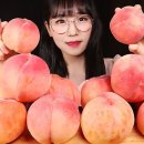 삼대농장 티스토리