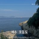 낭도피서지 | [여수 여행] 오동도 구경/주차타워/동백열차/2인용 자전거 대여