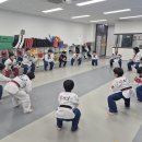 한국체대중앙태권도장 이미지