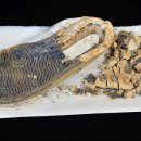 운동화박사 이미지