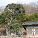 송광사 이미지