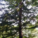 노전초등학교 이미지