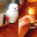 사카나 이미지