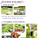 바우개펜션 이미지