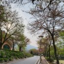연인산 다목적 캠핑장