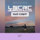 영화로 보는 심리학 | <노매드랜드> 영화로 읽는 선택의 심리 상실 이후, 떠나는 삶은 도피일까 새로운 방식일까?