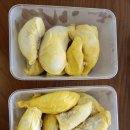 양말천국 Daum카페