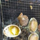 민서농장 이미지