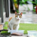 언주로7길 이미지