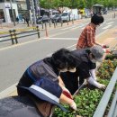 산내보건지소 이미지