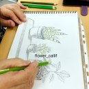 힐링수채화 & 펜드로잉 이미지