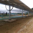 신흥리태양광발전소 이미지