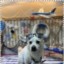 진해유치원 이미지