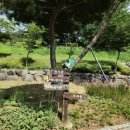 양서·파충류생태공원 아나콘다관 이미지