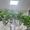 월광디테일 이미지