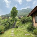 강빛사랑 이미지