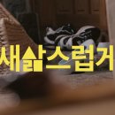 원색광고 이미지