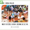 [화천]토마토속의 황금반지의 주인공을 찾아라!!화천 토마토축제!!! 이미지