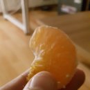 김명선농장 이미지