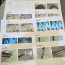 혜인프라자 | 파주탈모관리 닥터모다르 지루성 두피 관리 후기