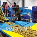 벌교농협농산물산지유통센터 이미지