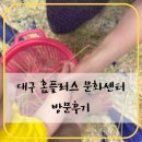 홈플러스 문화점 | 대구 수성구 홈플러스 문화센터 8개월 아기랑 방문후기(+신청방법, 위치, 꿀팁)