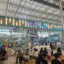 1205 | 🩷내돈내산🩷 아이들 만족도 최상, 챔피언 1205 후기