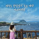 미스터뚱 | 제주도 한달살기 가성비 풀옵션 숙소 단기임대 미스터멘션 후기 겨울제주도 코스