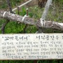 한강골재앞