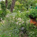 바다마을사람들 이미지