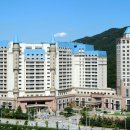 아일랜드 이미지