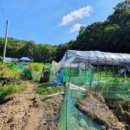 분당-279 이미지