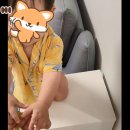 송죽농원 | 샤인 머스캣 센스 있는 추석선물! 택배로 받아보세요! feat 경일 농원