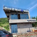 산으로 간 낚시꾼 | 삼천포 여행! 초보자낚시 꿀 대어 한가득!(자세한후기) 산으로간낚시꾼