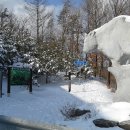 백두대간13차 우두령-석교산-밀목재-삼마골재-물한계곡-황룡사 이미지
