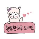 벨텍 이미지