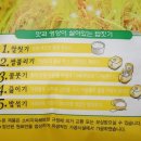 안계합동미곡종합처리장 네이버블로그