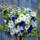 꽃님이네 이미지