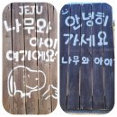 제주키즈풀빌라 나무와 아이 이미지